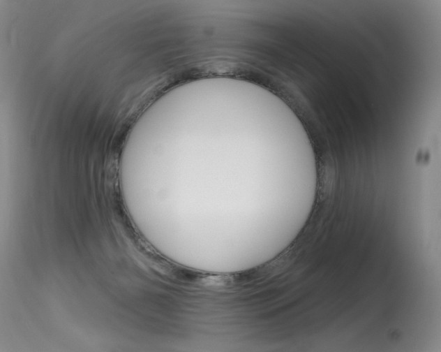 X0000115730126200911121134