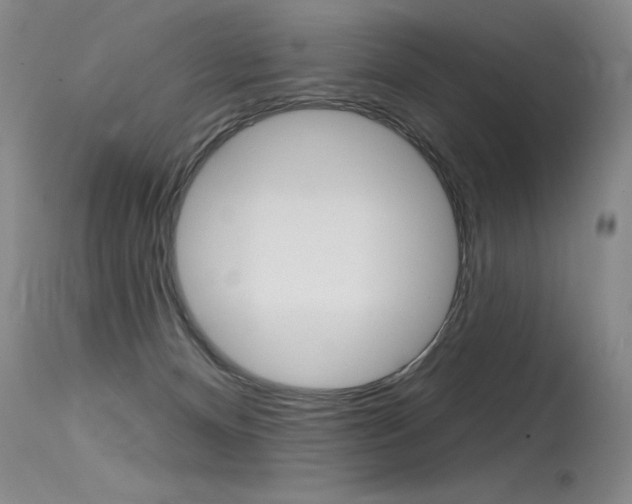 X0000115730128200911121134