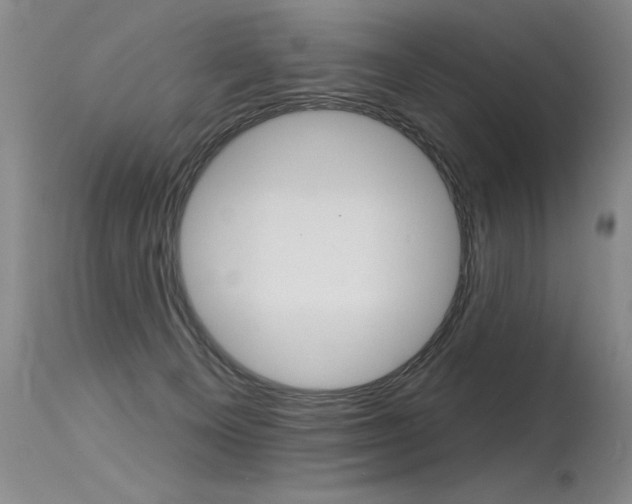 X0000115730129200911121134