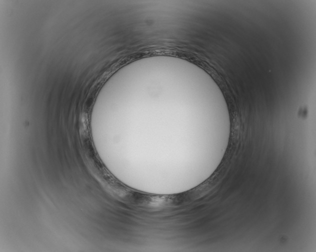 X0000115730130200911121134