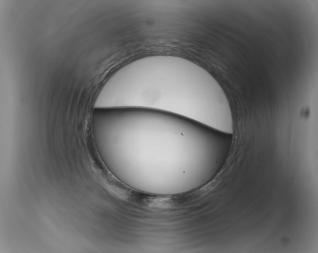 X0000115730132200911121134