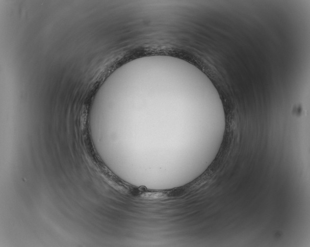 X0000115730133200911121134