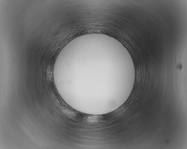 X0000115730134200911121134