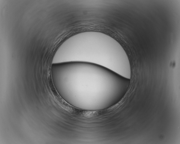 X0000115730136200911121134