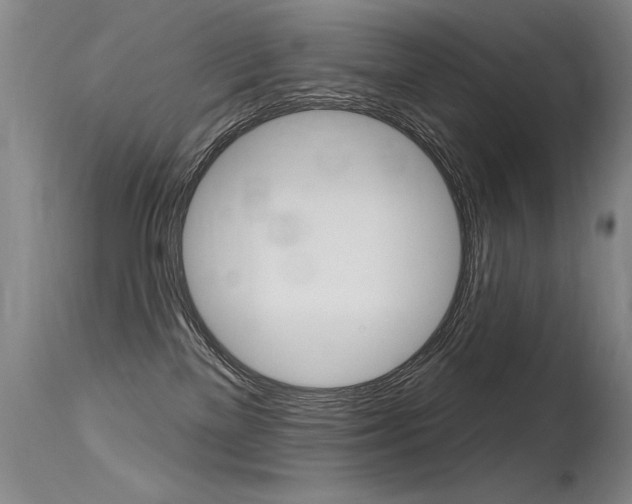 X0000115730137200911121134