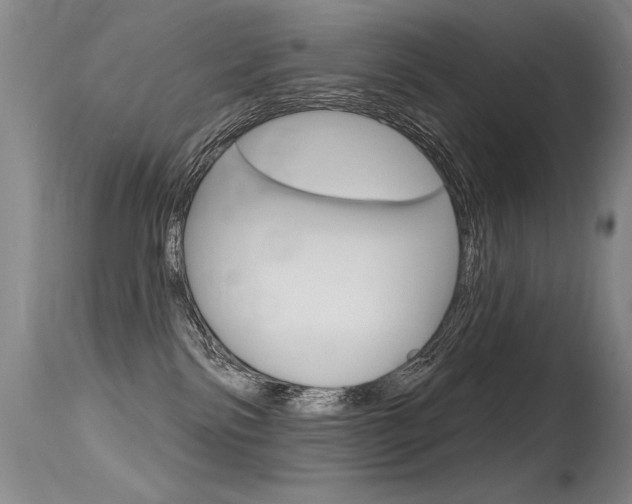 X0000115730138200911121134