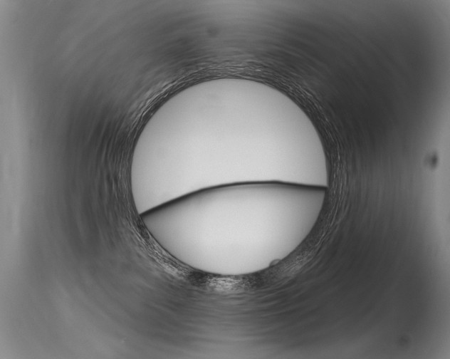 X0000115730139200911121134