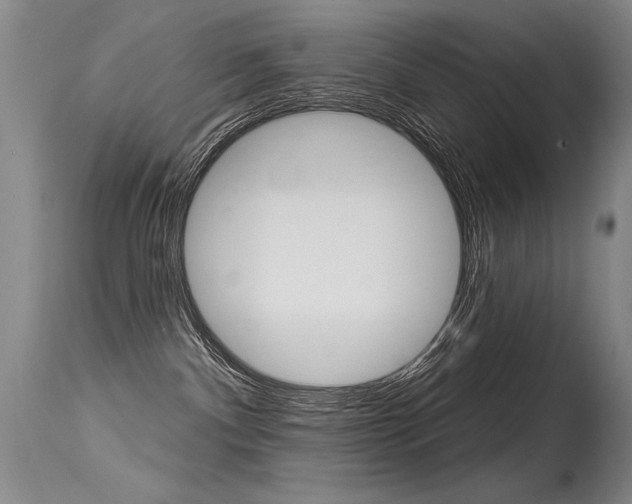 X0000115730140200911121134