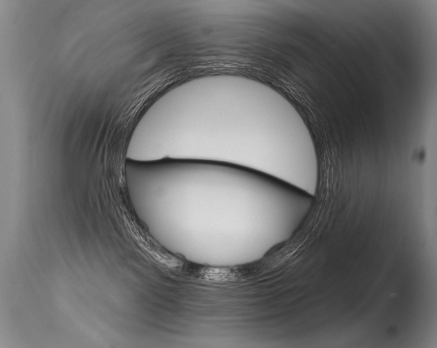 X0000115730141200911121134