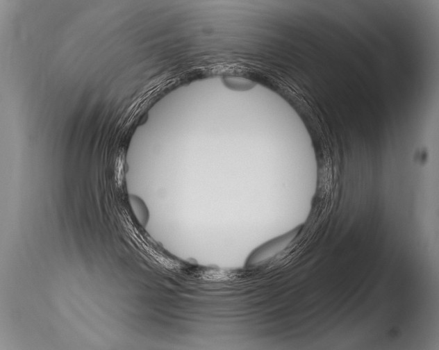X0000115730142200911121134