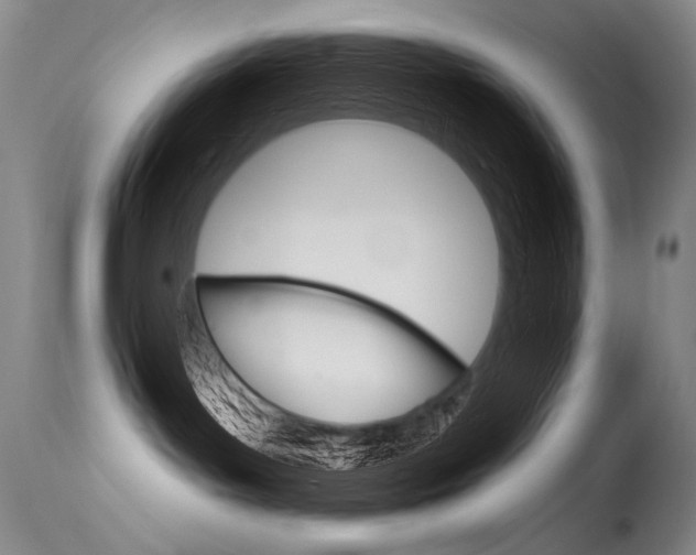 X0000115730143200911121134