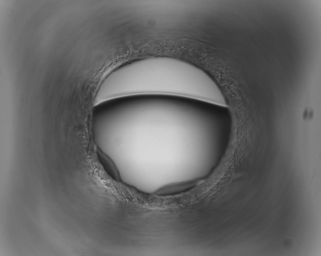 X0000115730144200911121134