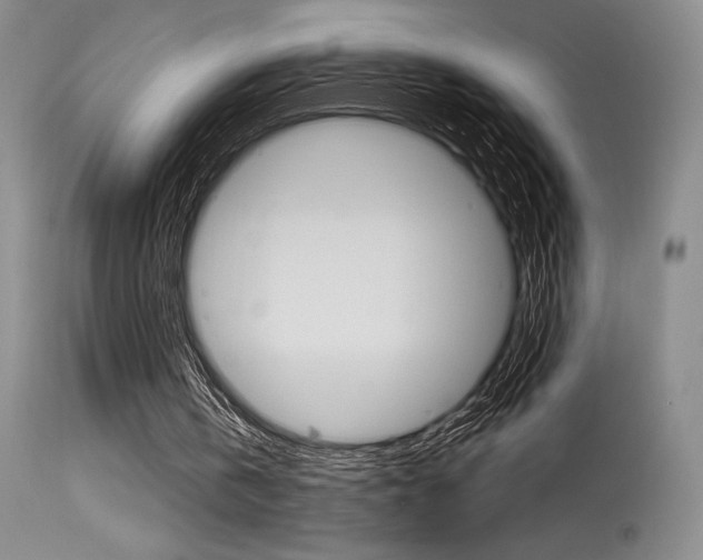 X0000115730146200911121133