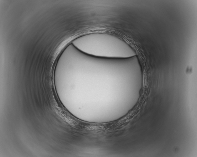 X0000115730147200911121133
