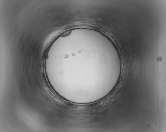 X0000115730149200911121133