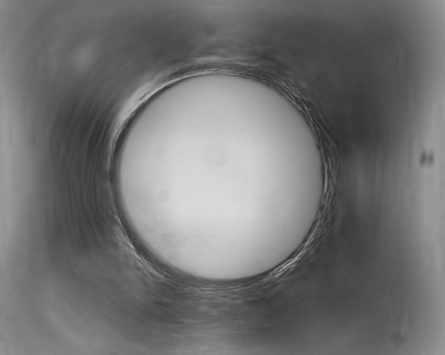 X0000115730150200911121133