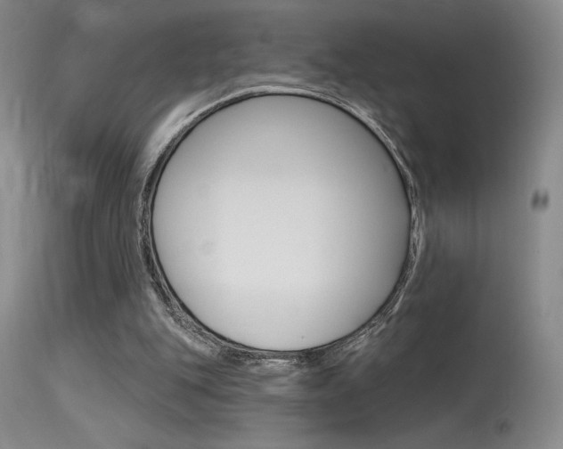 X0000115730151200911121133