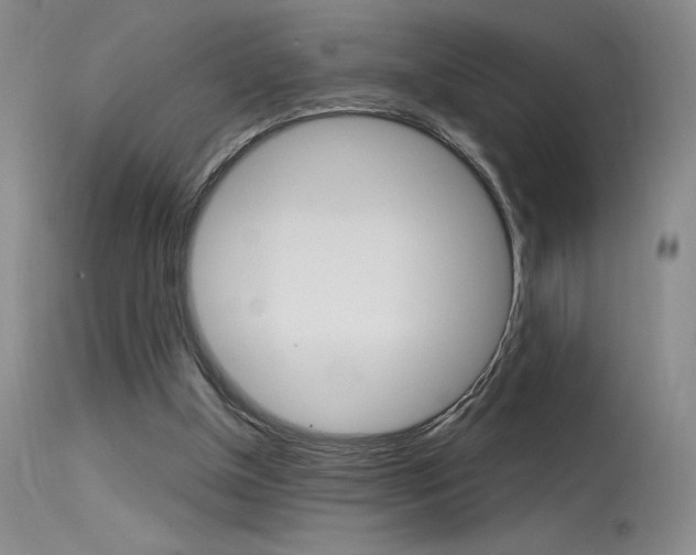 X0000115730154200911121133