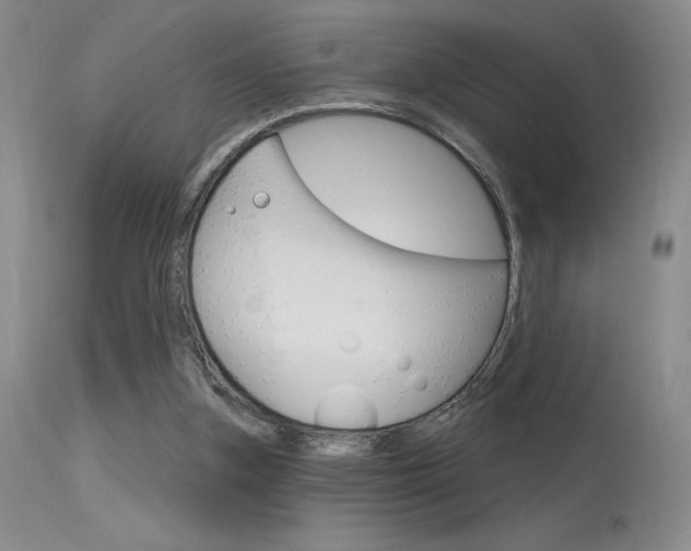 X0000115730155200911121133