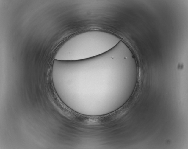 X0000115730157200911121133