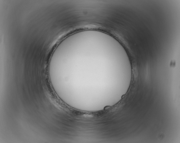 X0000115730159200911121133