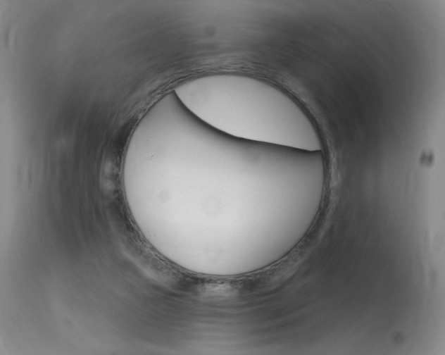 X0000115730161200911121133