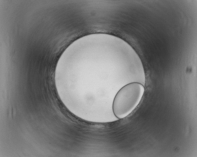 X0000115730162200911121133