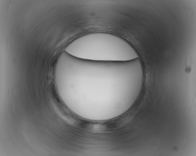 X0000115730165200911121133