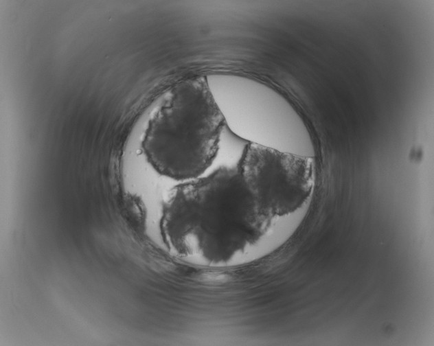 X0000115730169200911121133