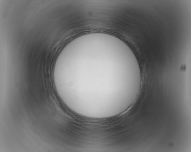 X0000115730170200911121133