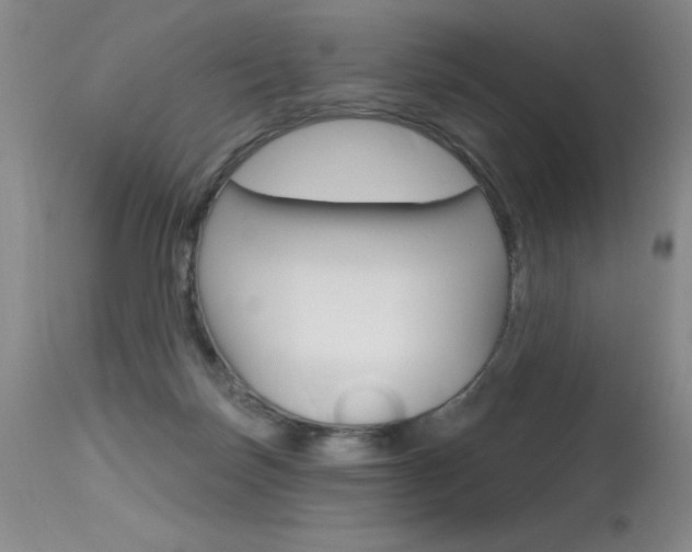 X0000115730171200911121133