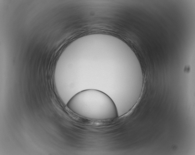 X0000115730174200911121133