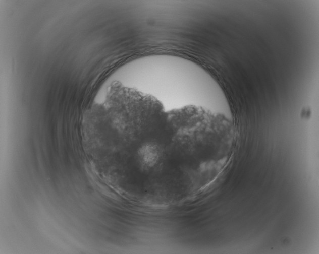 X0000115730175200911121133