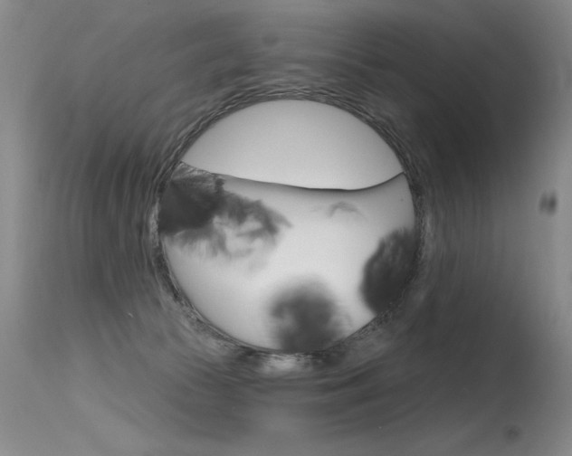 X0000115730177200911121133