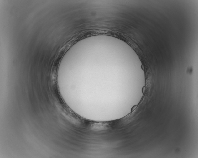 X0000115730179200911121133