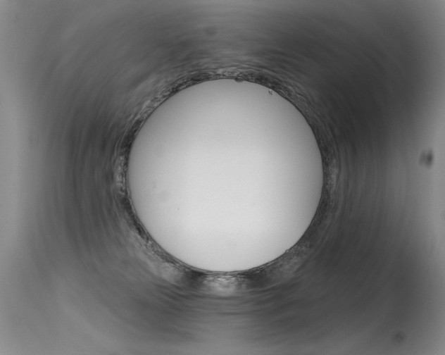 X0000115730181200911121134