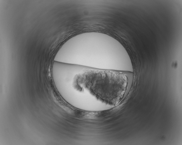 X0000115730182200911121134