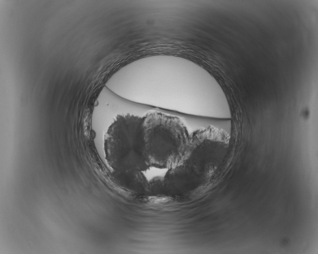 X0000115730185200911121134