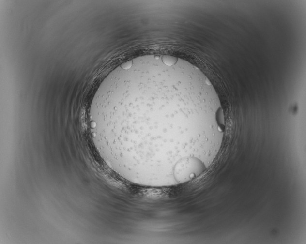 X0000115730187200911121134