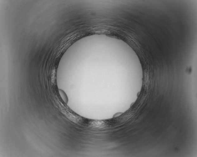 X0000115730189200911121134
