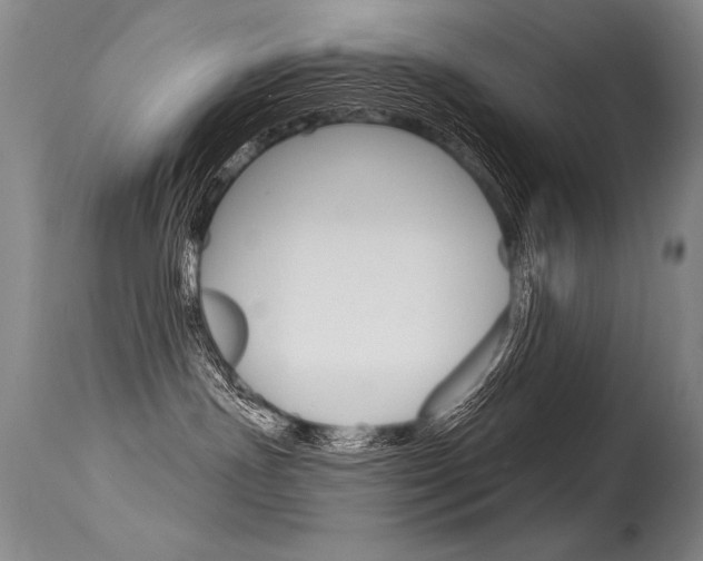 X0000115730191200911121134