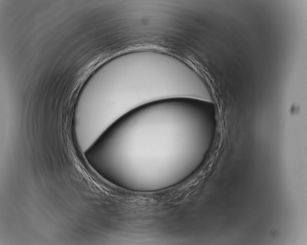 X0000115730193200911121133