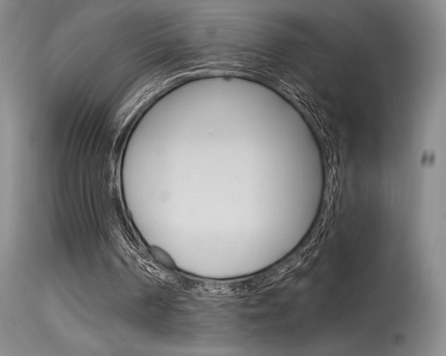 X0000115730194200911121133