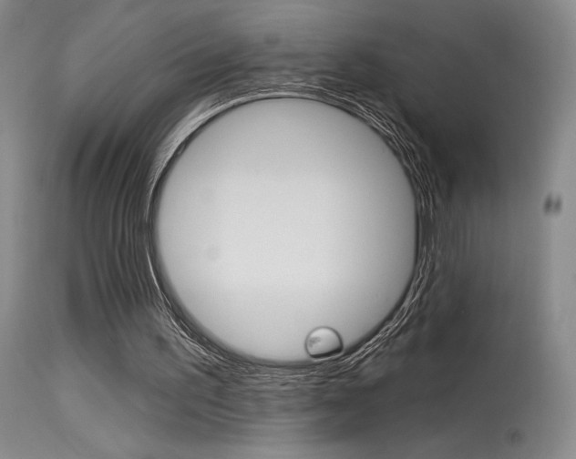 X0000115730195200911121133
