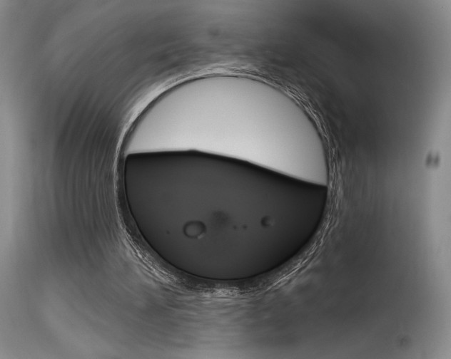 X0000115730196200911121133