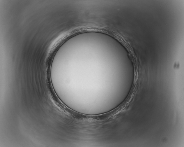 X0000115730197200911121133
