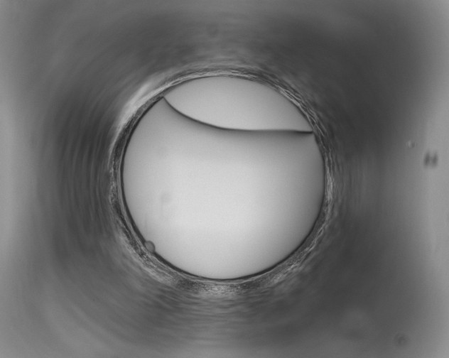 X0000115730198200911121133