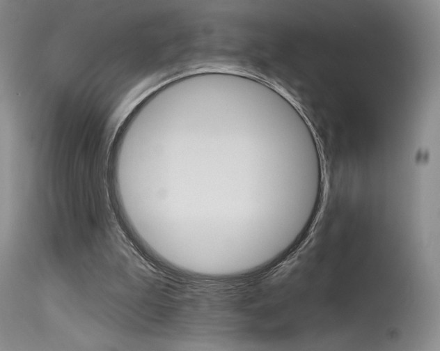 X0000115730199200911121133
