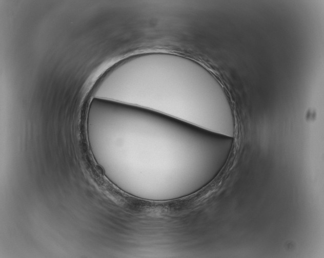 X0000115730200200911121133