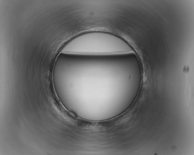 X0000115730201200911121133
